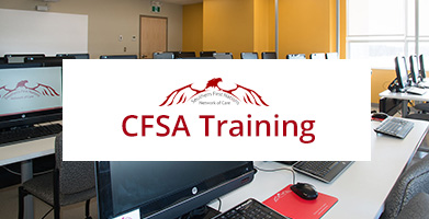 CFSA Training, Southern Network CFS